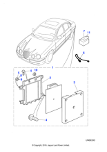XR849704 - Jaguar Nut