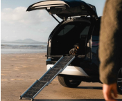 Pet Access Ramp