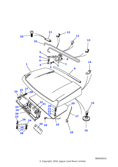 255206 - Land Rover Screw