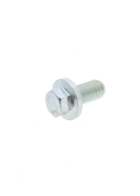 FS108161L - Land Rover Screw