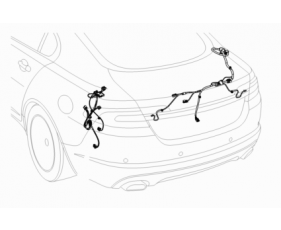 Bonnet And Trunk Harnesses