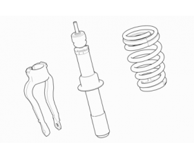Road Spring And Damper-Front