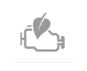 Engine Management / Emission Systems
